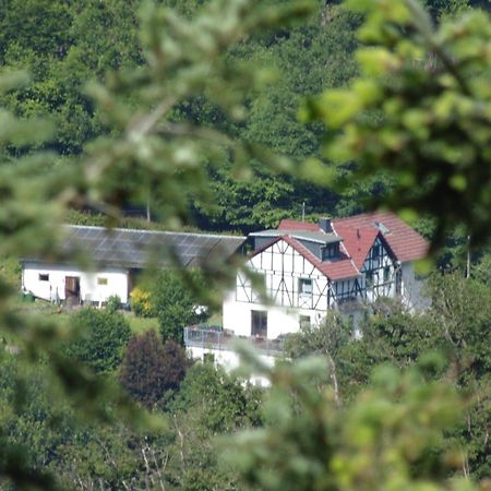Ferienwohnung Schaefer Waldbreitbach Εξωτερικό φωτογραφία
