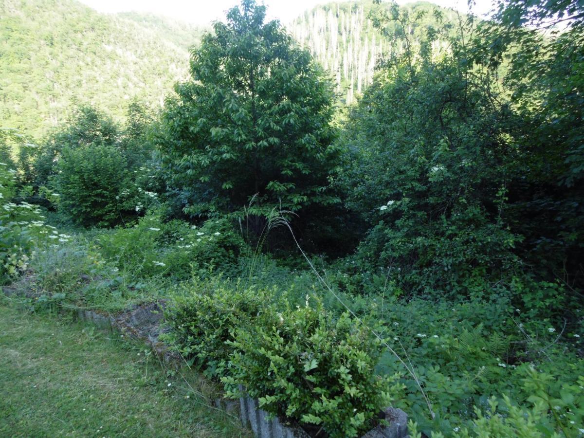 Ferienwohnung Schaefer Waldbreitbach Εξωτερικό φωτογραφία