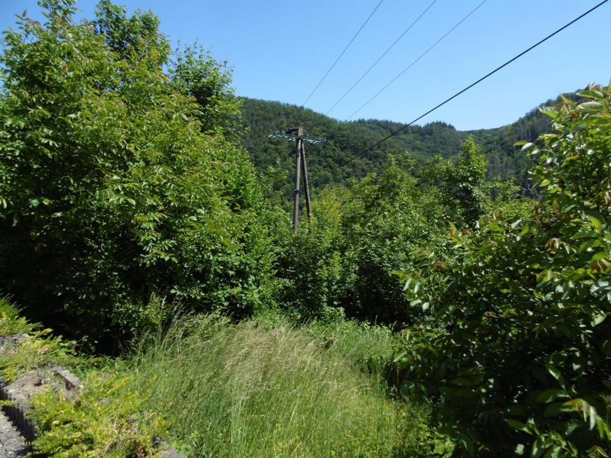 Ferienwohnung Schaefer Waldbreitbach Εξωτερικό φωτογραφία