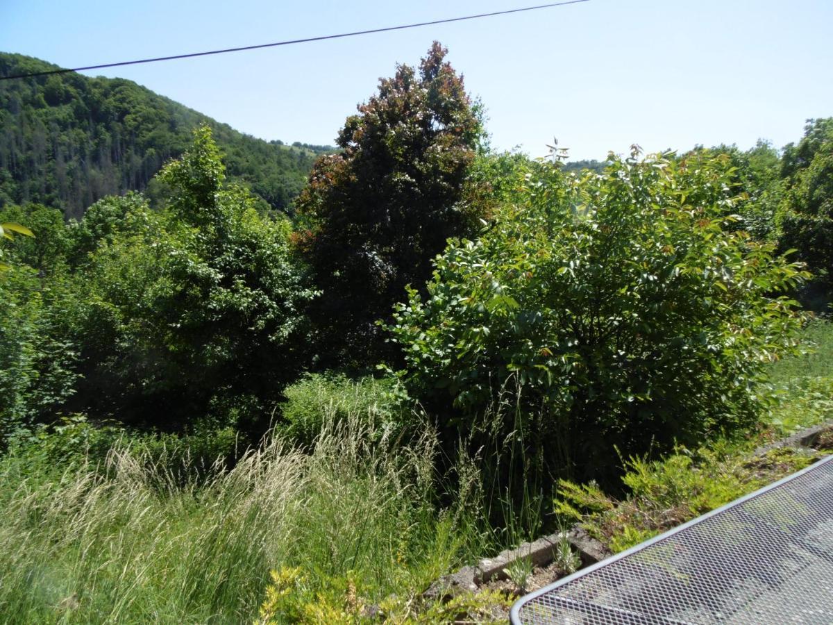 Ferienwohnung Schaefer Waldbreitbach Εξωτερικό φωτογραφία