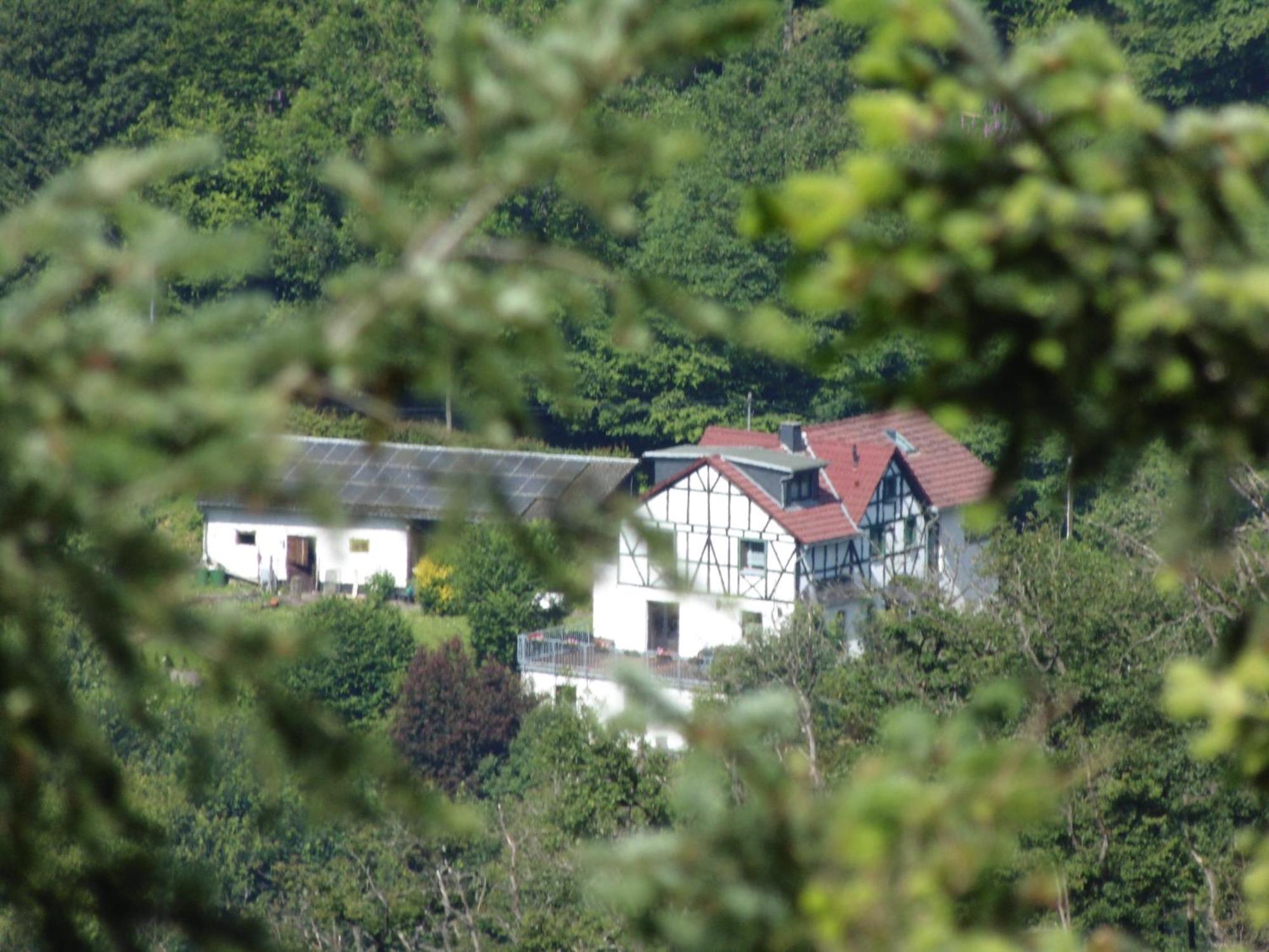Ferienwohnung Schaefer Waldbreitbach Εξωτερικό φωτογραφία